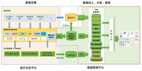 bi系统服务器需求分析工具,BI系统服务器需求分析工具应用概述