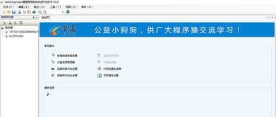 管理系统开发工具有