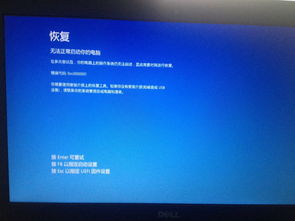系统无法启动pe修复工具,系统启动受阻？一招PE修复工具助你轻松解决