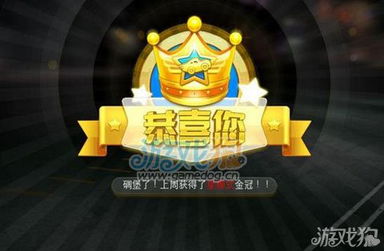 游戏金冠,探寻游戏世界的巅峰传奇
